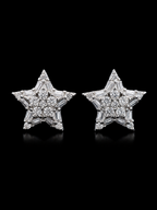 Avenor Star Earring